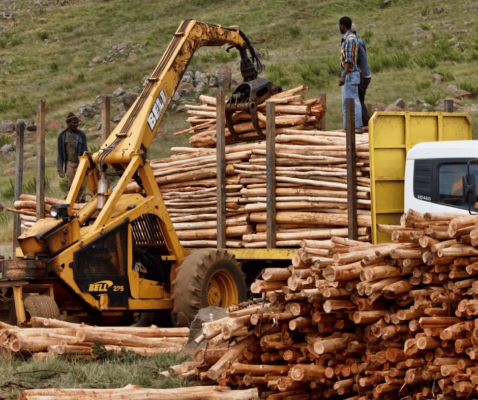 logging process