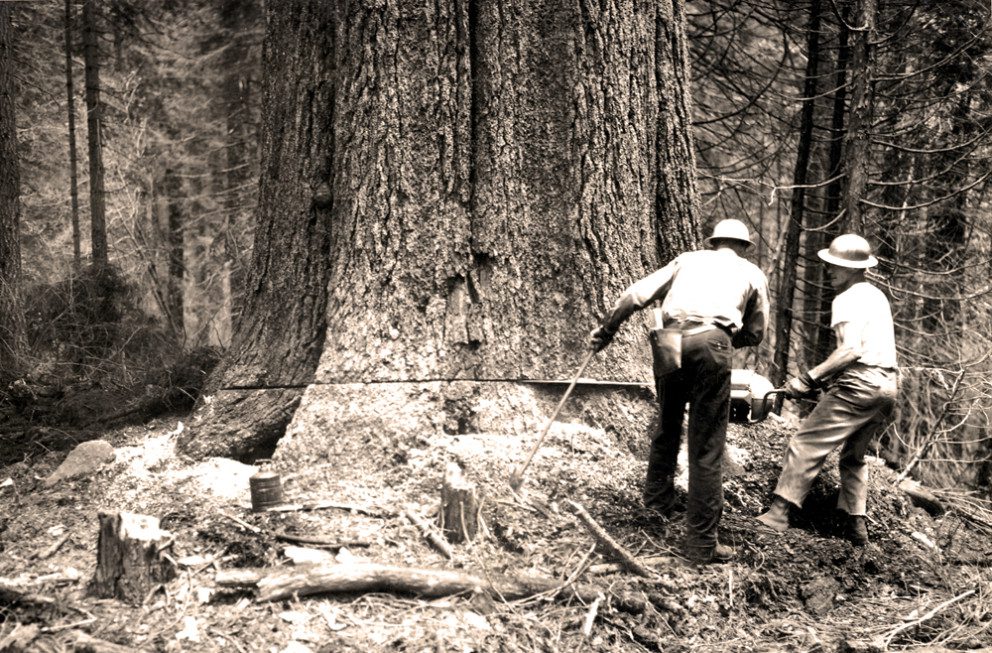 old fashioned logging practices