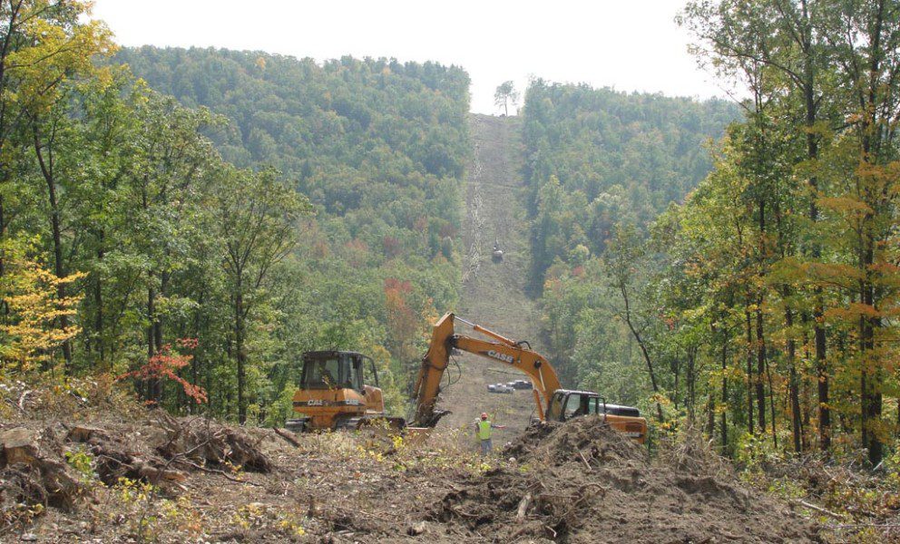 pipeline timber clearing right of way