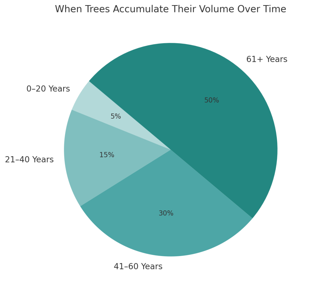 Tree Volume Accumulation Over Time