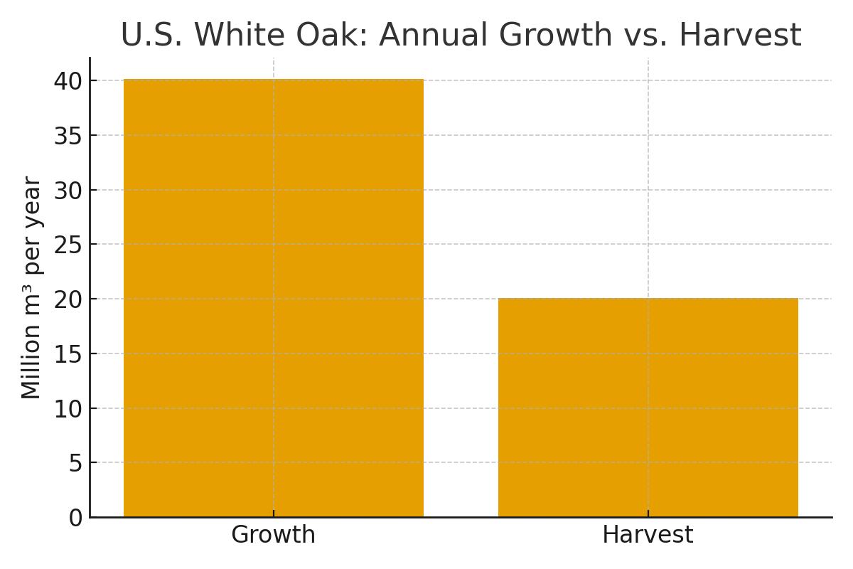 Bar chart showing U.S. white oak annual growth around 40 million cubic meters versus harvest around 20 million cubic meters